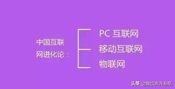 中國未來的十七種商業模式，無生意可做，無工可打！