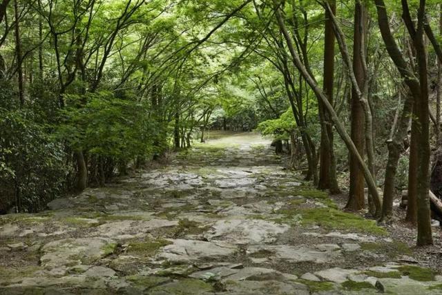 传统.自然.简约：日式建筑景观之美