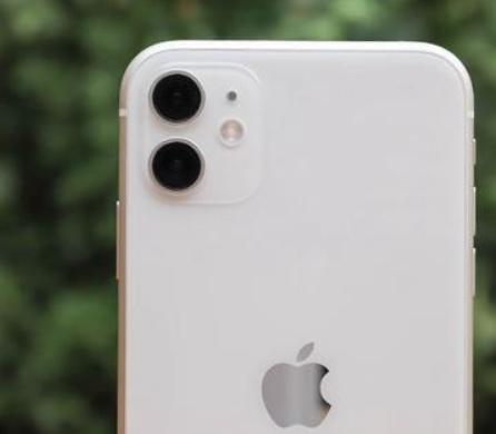 iPhone11：还是恭喜你