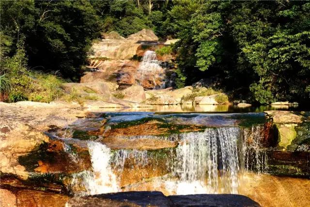 广西融水苗族聚居地，美景异常，我发现田里的稻谷不太对劲……