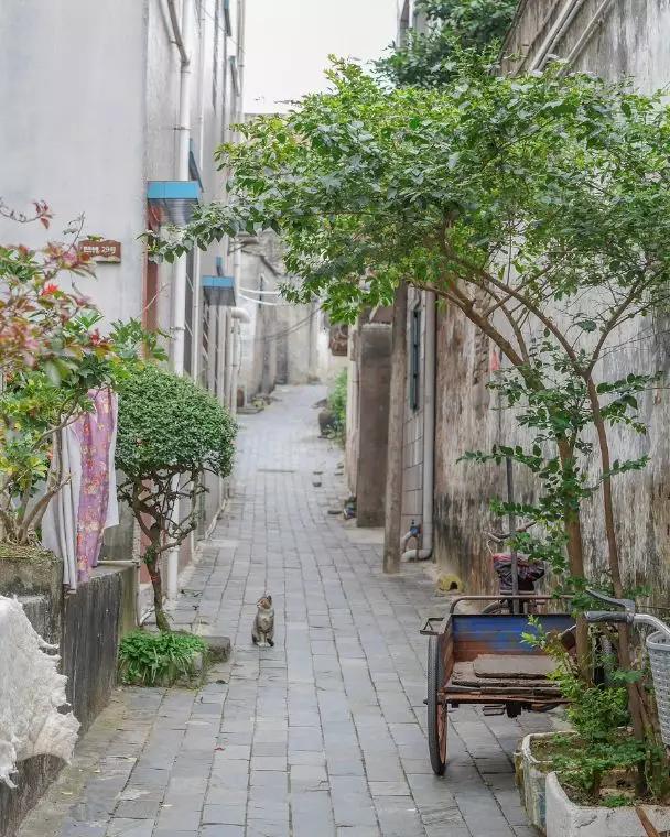 疫情过后，最想去这10个地方