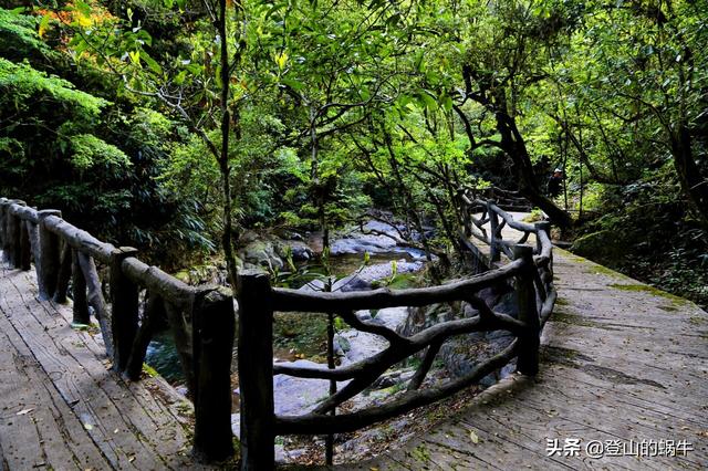 遂昌九龙山：奇峰怪石、奇花异草、古树参天