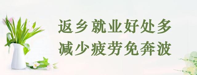 今起，三台山国家森林公园恢复开放