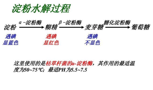 为什么新西兰向农场主收“牛屁税”？