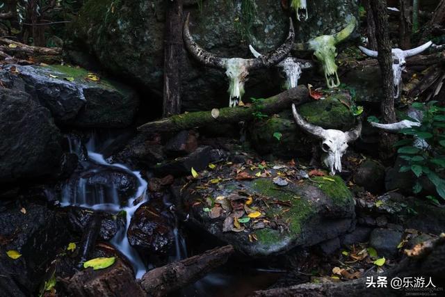 在家看风景|隐藏在云南的50处秘境，这些才是世界级的美景