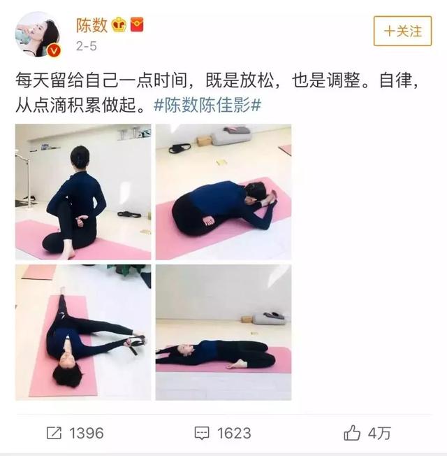 董卿：我认为陈数才是优雅女人的典范