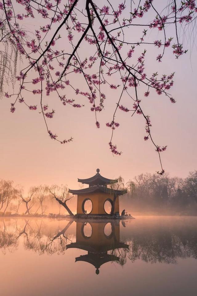 说好了！宅过这段日子，我们就相约去踏春赏花