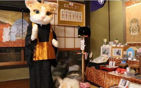 日本一家人建“猫猫寺”，神像、住持都是猫，吸引无数猫奴朝拜