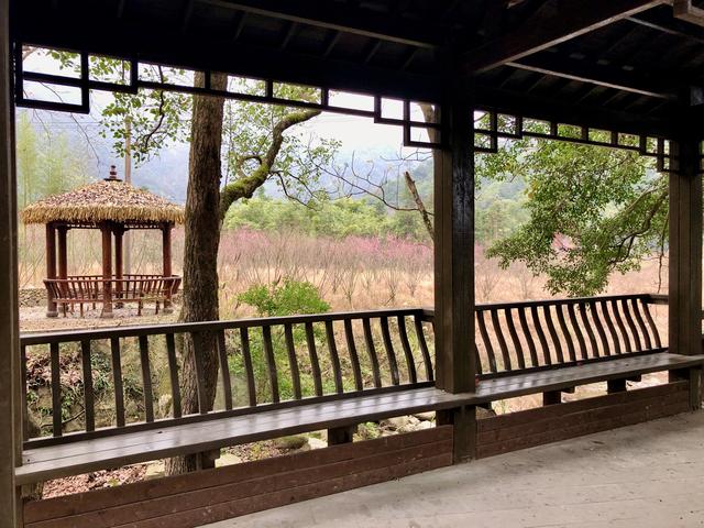 瑞安梅龙溪田园风光4