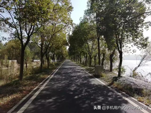 汤逊湖绿道