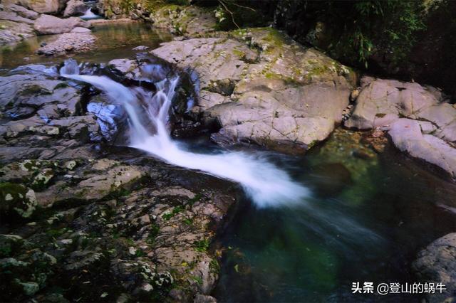 遂昌九龙山：奇峰怪石、奇花异草、古树参天