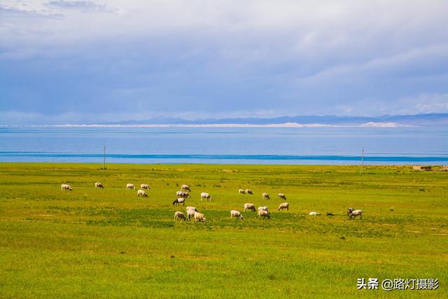 中国最美的五大赏油菜花海胜地，收藏这份赏花地图，从冬开到夏