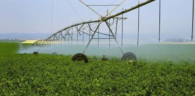 美國最大糧倉前途不明，農民不得不用毒水灌溉，地面在不斷下沉