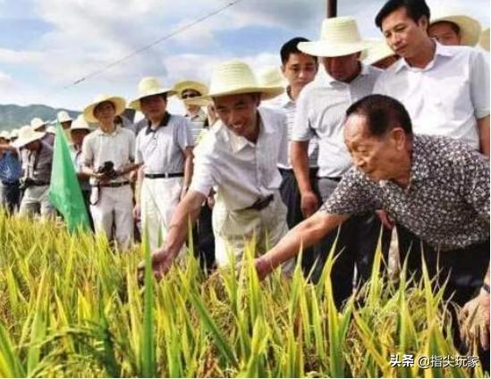 同样是人口大国，为何印度能向全球出口粮食，中国却要到处买粮食