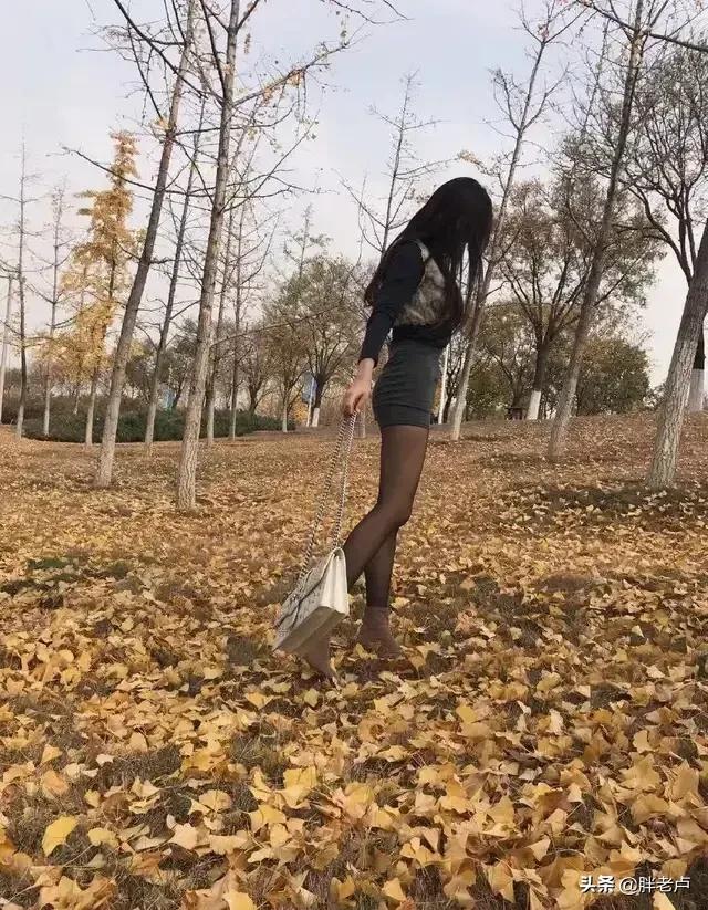 老家的银杏小树林，你向往的风景，早已车水马龙，有梦就去追