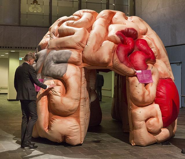 荷兰举办健康创新大会 充气“大脑”形态逼真