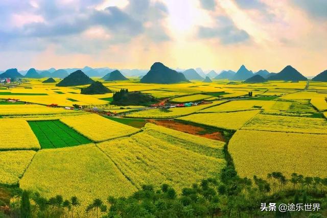 羅平油菜花開，美到你不想離開