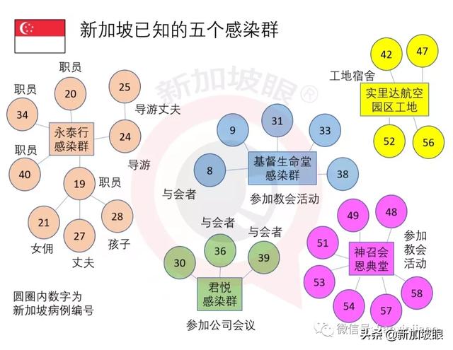 新加坡新增8例確診，多爲密切接觸者 | NUS確診教授感染源不明