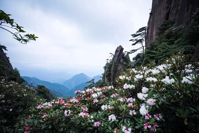 三清山风景十大特色篇