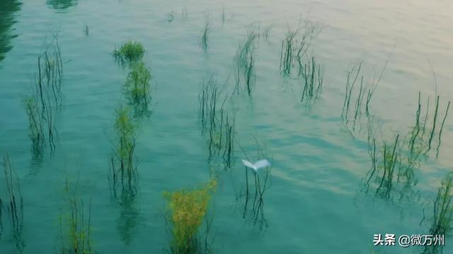 爱了！爱了！万州水天一色的平湖美景！