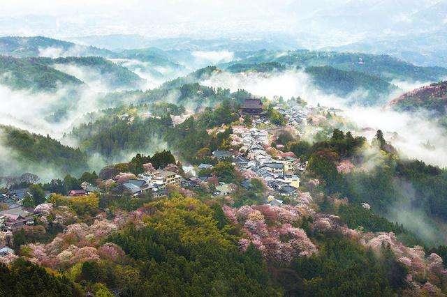 物哀致幽玄  侘寂照禅观——小议日本美学为何风靡世界