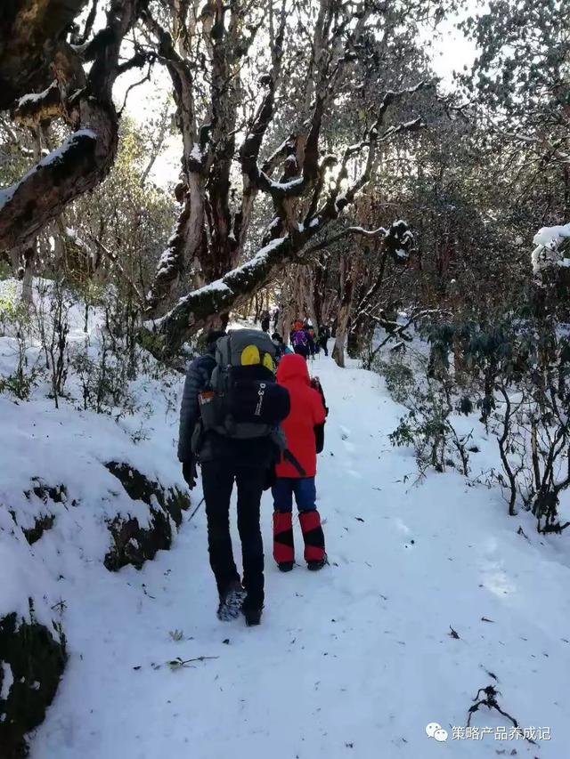 尼泊尔旅行攻略，我的冬日恋歌