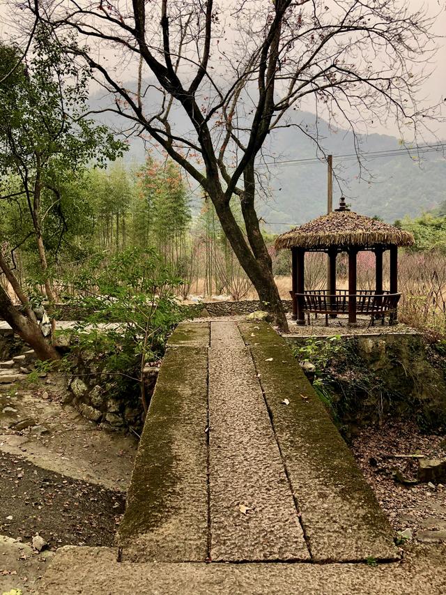 瑞安梅龙溪田园风光4