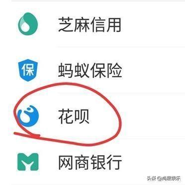 你怀疑过支付宝的花呗账单是否属实吗？网友：这个还有假的？