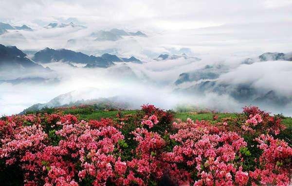 春暖花开，疫情过后，我们去这些地方看花吧