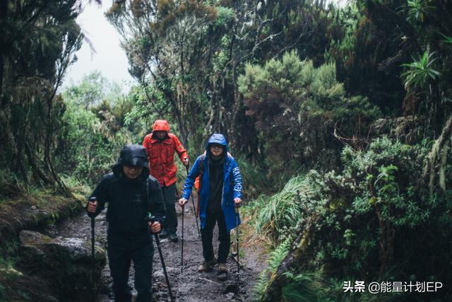 我的乞力马扎罗并不是一篇游记