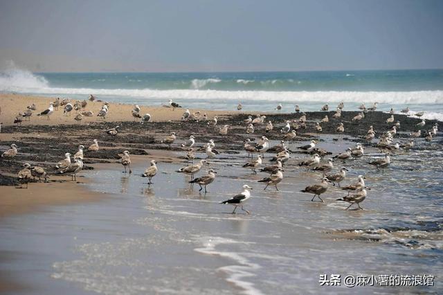 非洲许多国家都靠海，当地人却很少吃海鲜，海鲜价格接近白菜价