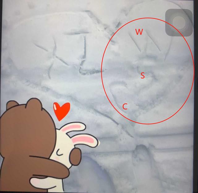 王思聰攜新女友泰國度假!女方身份被曝光,在朋友圈秀恩愛