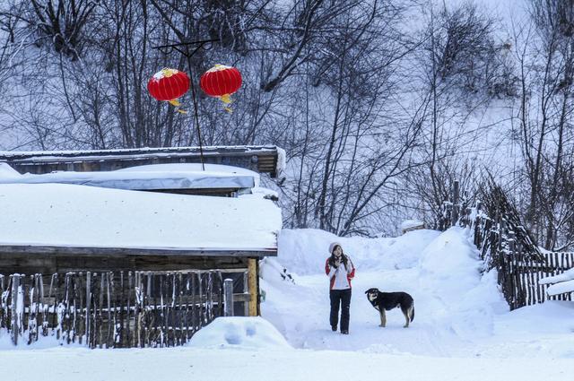 黑龙江双峰林场，冬天里的银色童话世界，惊艳世界的瑰丽雪乡