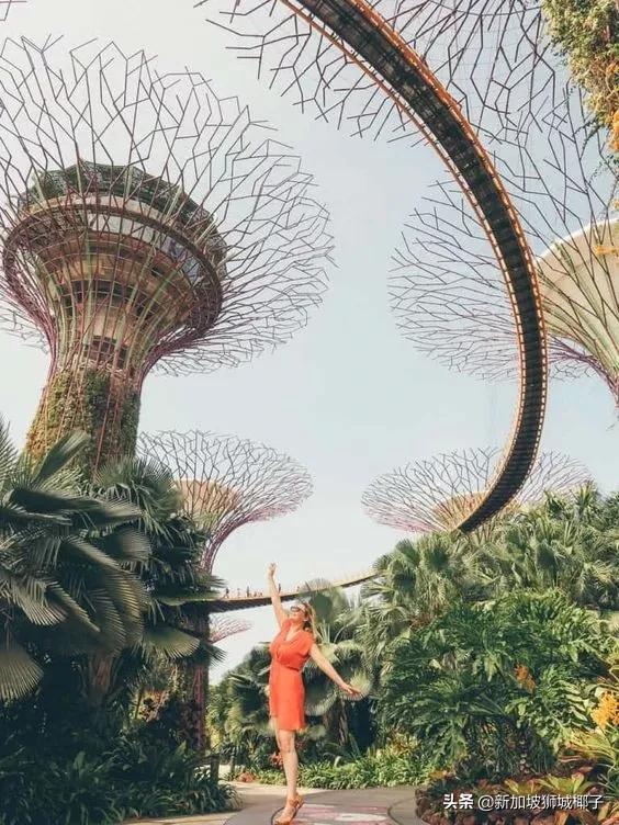 那個全世界都羨慕的新加坡，還記得嗎？