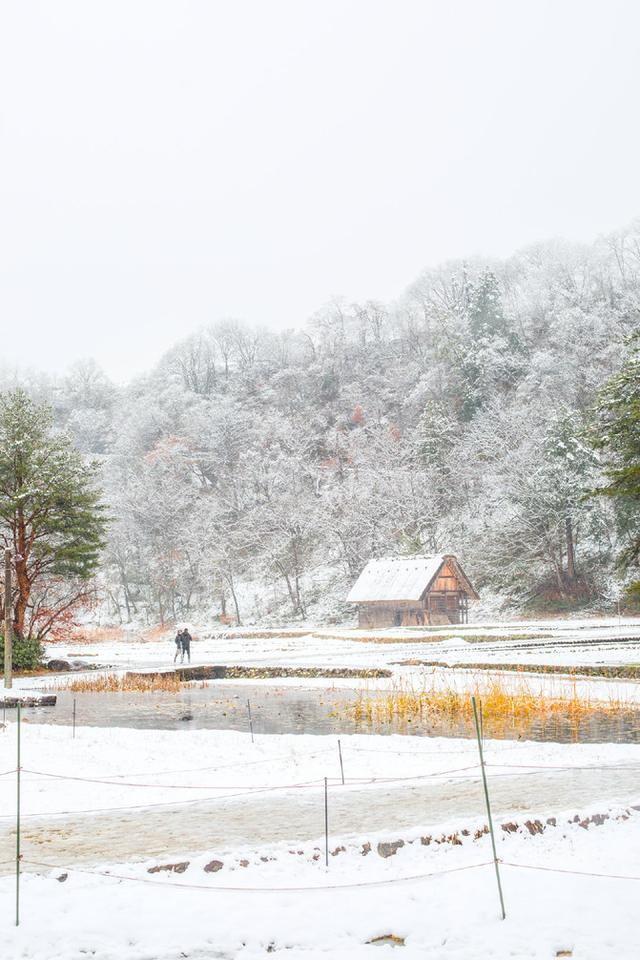 日本之旅，高山、北陆区域周游券遇见更多的美景