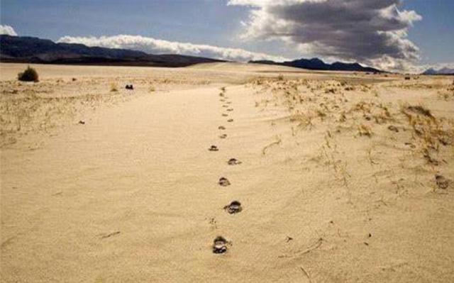 为什么在沙漠里迷路了不能走直线？越走直线越出不去，要这样走