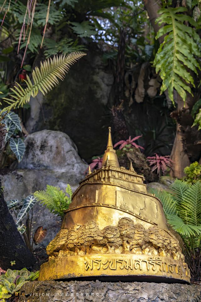 又一处小众旅游点，看曼谷日出日落的好地方——金山寺