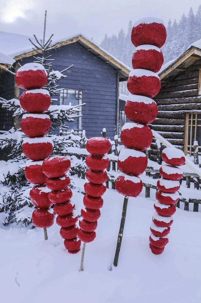 黑龙江双峰林场，冬天里的银色童话世界，惊艳世界的瑰丽雪乡