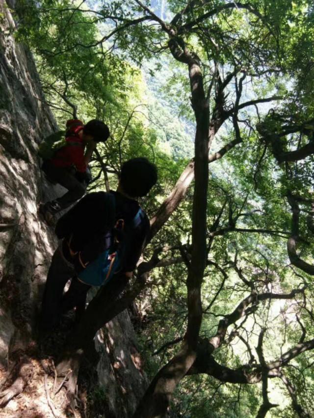 秦岭北麓小峪-嘉午台-雪瓦山一日游