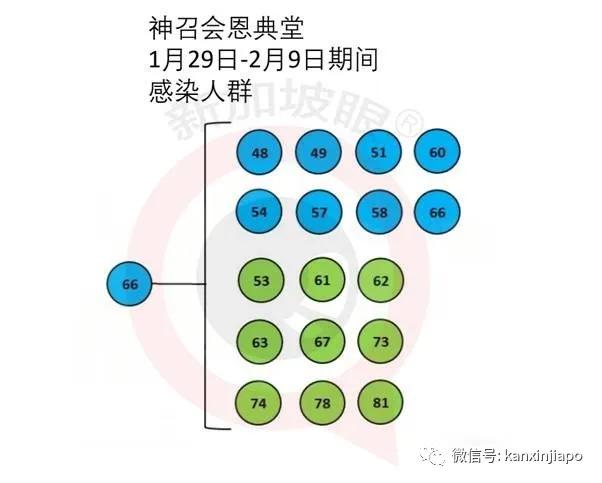 新加坡 |“91号冠病”日记