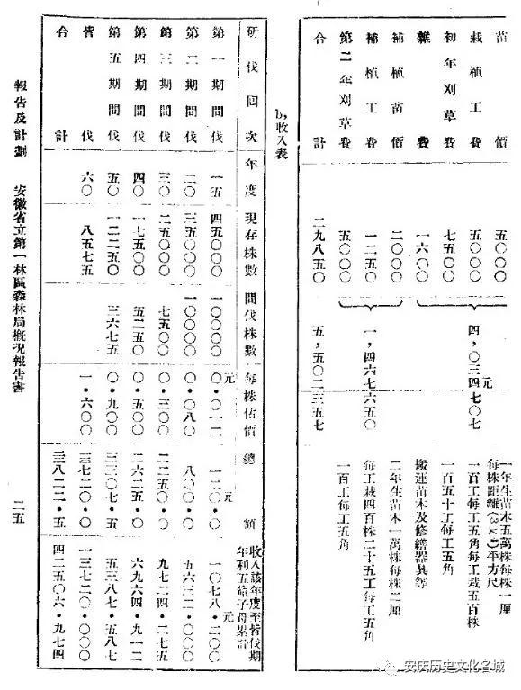 中國最早的森林城市——安慶