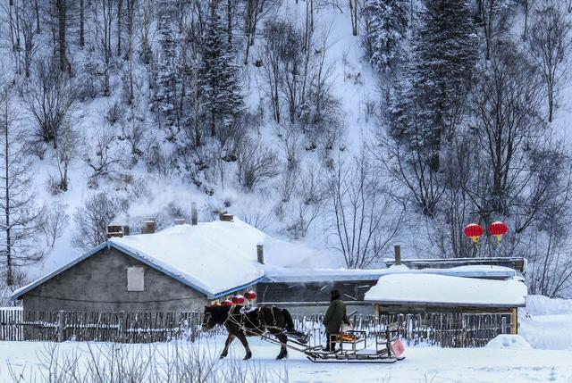 黑龙江双峰林场，冬天里的银色童话世界，惊艳世界的瑰丽雪乡