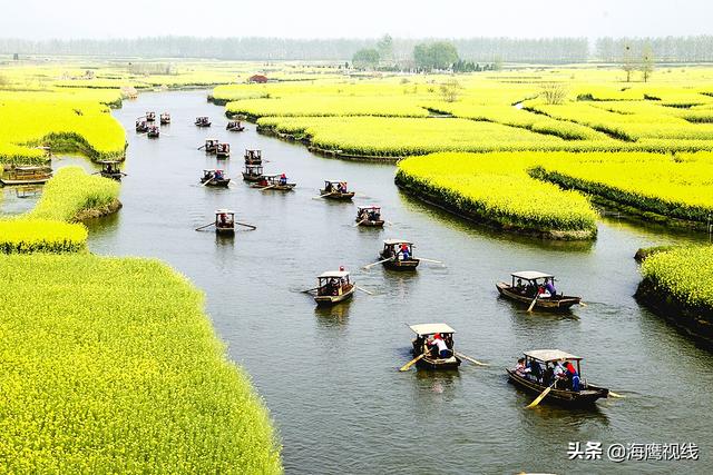 人在水中遊滿眼一片黃，走進興化萬畝油菜花海，美景因垛田而生