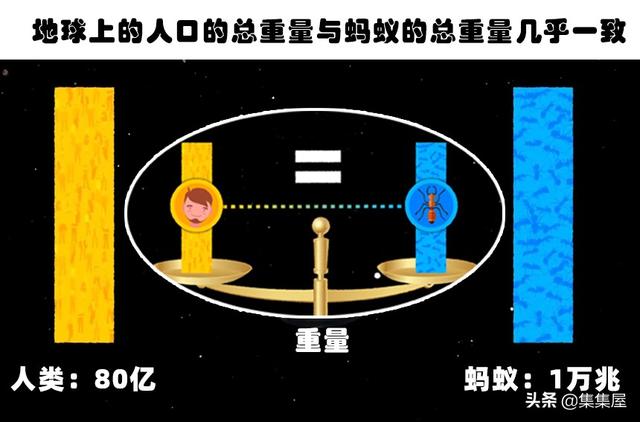 網絡世界存在著的11個比較少人了解的有趣小知識