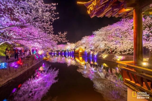 春暖花开，疫情过后，我们去这些地方看花吧