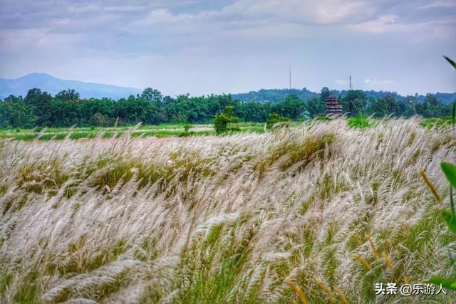 在家看风景|隐藏在云南的50处秘境，这些才是世界级的美景