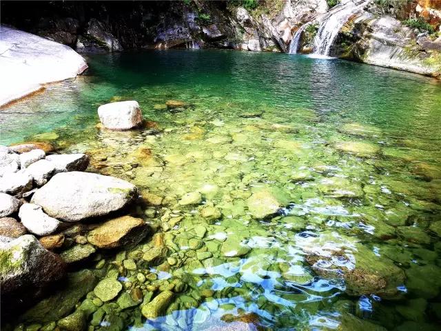 广西融水苗族聚居地，美景异常，我发现田里的稻谷不太对劲……