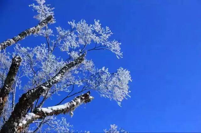 【美景】广元下雪了，这才是正确的打开方式！