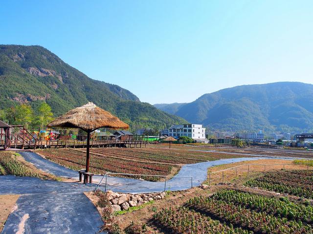 沿着楠溪江，蜿蜒三百里，那些如画的村庄，山水，和美食