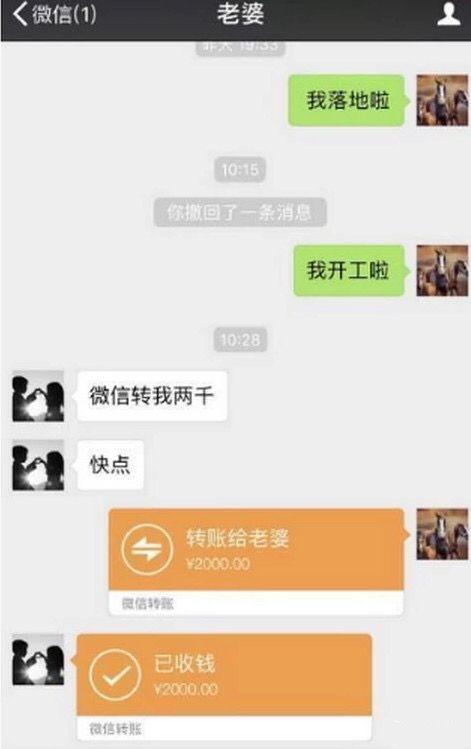 这对夫妻的迷惑行为大赏又来了…